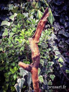 Mobilier- Tabouret avec branche en bois