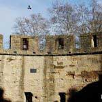 photographies-château-Carcassonne
