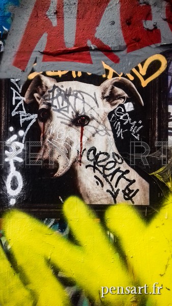 Photo street art- Dog